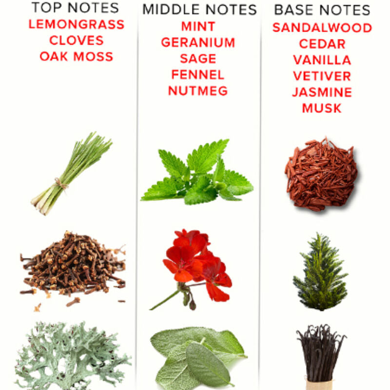 EYE OF LOVE – EOL PHR PARFUM DELUXE 50 ML – ROMANTISCH