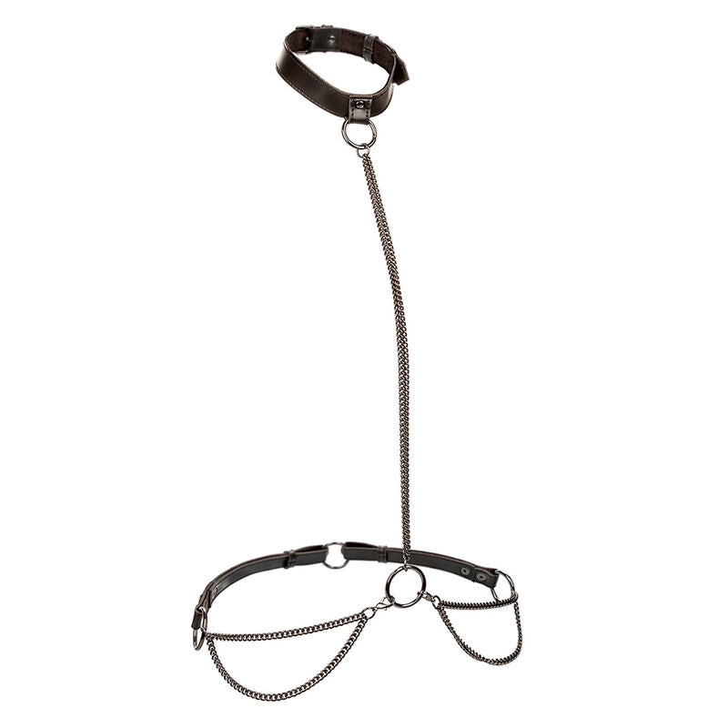 CALEXOTICS - EUPHORIA KETTENHALFTERHALSBAND & LEINE