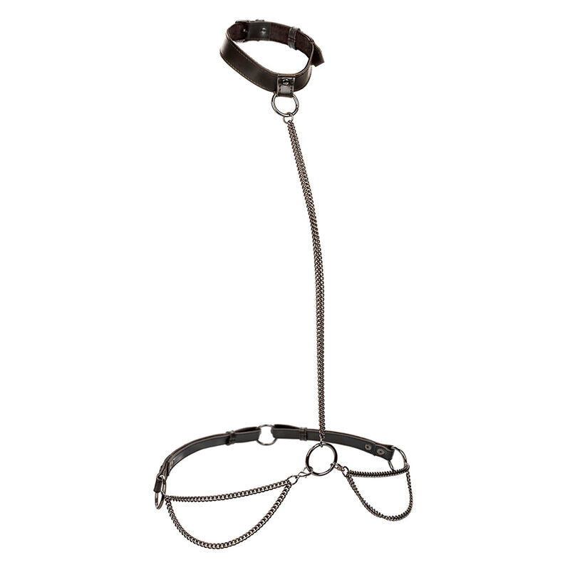 CALEXOTICS - EUPHORIA KETTEN-HALFTERHALSBAND & LEINE ÜBERGRÖSSE