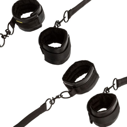 CALEXOTICS - GRENZENLOSE ROTE ZURÜCKHALTUNG