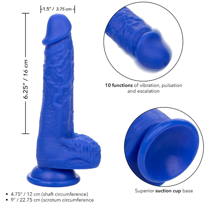 CALEXOTICS - ADMIRAL SAILOR REALISTISCHER DILDOVIBRATOR BLAU