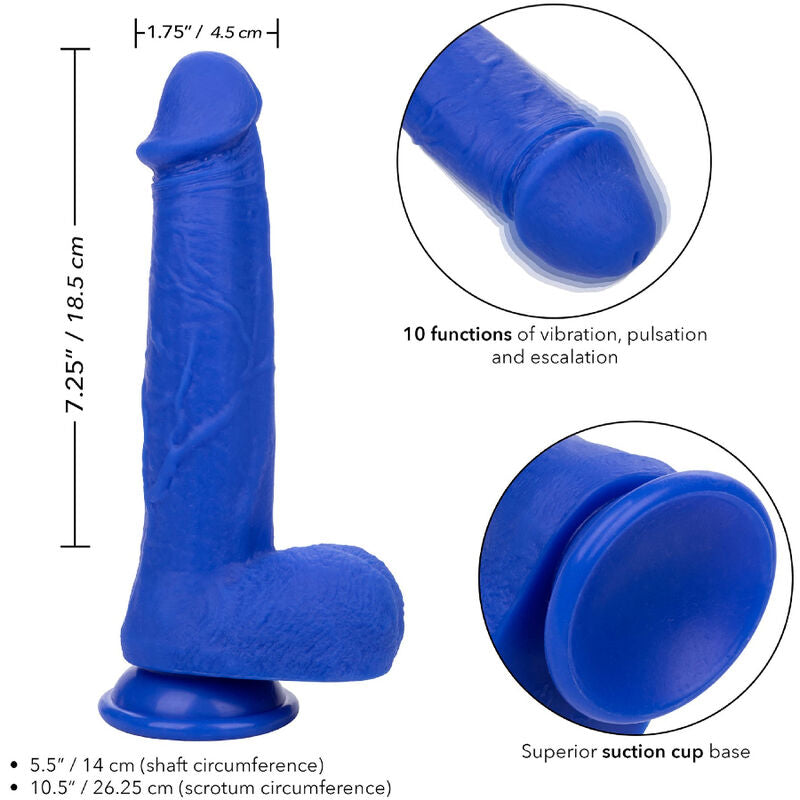 CALEXOTICS - ADMIRAL CAPTAIN REALISTISCHER DILDOVIBRATOR BLAU