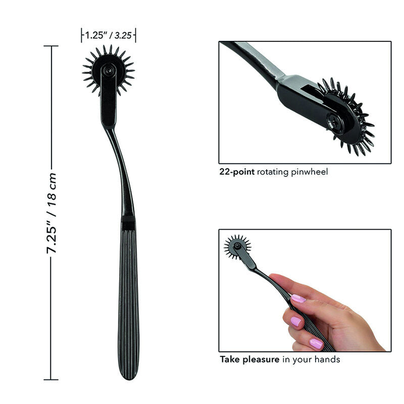 CALEXOTICS - GRENZENLOSES VERGNÜGEN RAD