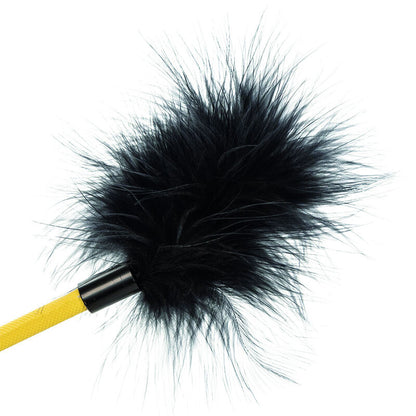 CALEXOTICS - GRENZENLOSE FEDERERNTE