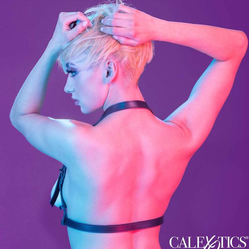 CALEXOTICS - EUPHORIA HALTER BUCKLE HARNESS SCHWARZ