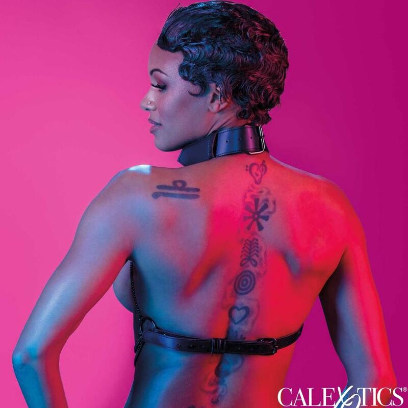 CALEXOTICS - EUPHORIA MEHRKETTEN-HALSBAND