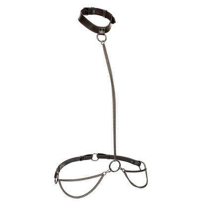 CALEXOTICS - EUPHORIA KETTENHALFTERHALSBAND &amp; LEINE