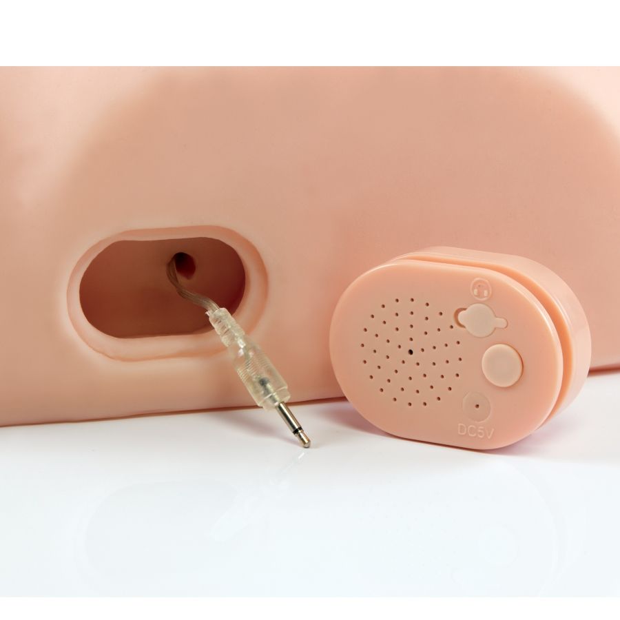 PDX MALE - INTERAKTIV, FICK IHN, DU BIST DUMME