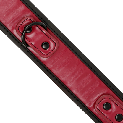 FETISCH DEVOT DUNKELRAUM - KETTENKETTE MIT NEOPRENFUTTER